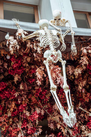 Halloween decoration near cafe or restaurant, modern skeletons sitting, talking, using mobile phones, having fun like people outdoor.の写真素材