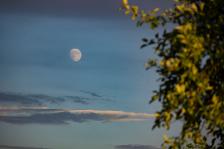 Scenic view of the beautiful evening sky with rare clouds and the moon. Green tree branches in the evening sunlight. Beautiful card with green scenic view beautiful evening.の写真素材
