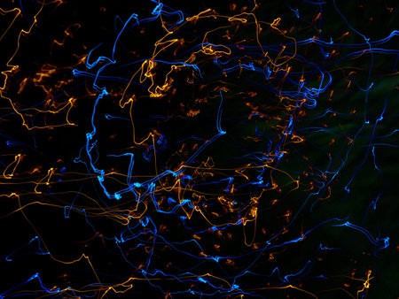 An abstract background of light trails and swirls