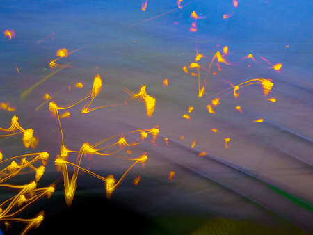 Abstract pattern of golden firework light streaks against a blue purple backgroundの写真素材