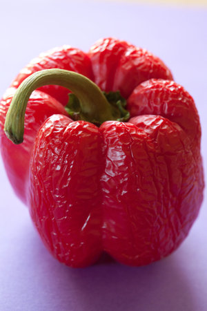 A red pepper that has got old and wrinkledの写真素材