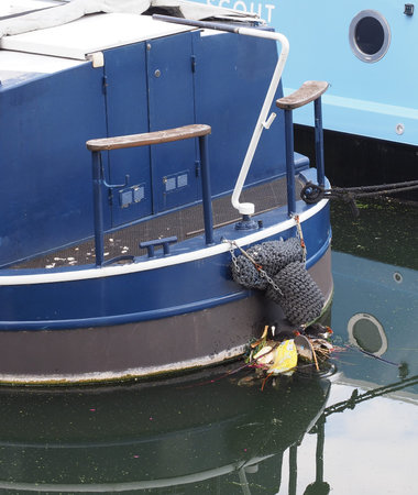 A more home with two of her chicks nesting on the propeller of a canal boatの写真素材