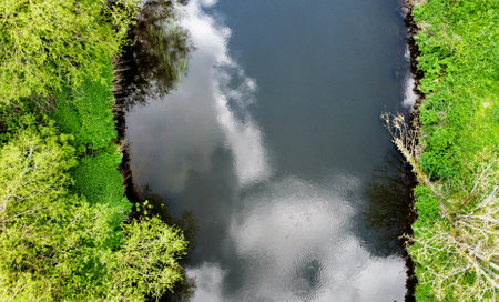 aerial view looking diresctly down on a river with trees and white clouds reflected in the water surfaceの写真素材