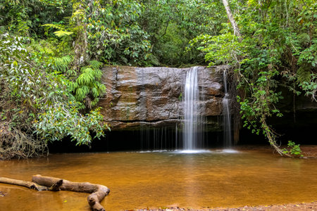 Small waterfall with lush vegetation and pond, Chapada dos Guimaraes, Mato Grosso, Brazil, South Americaの写真素材