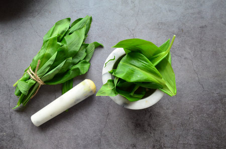 Fresh wild garlic leaves in mortar and pestle on gray background.