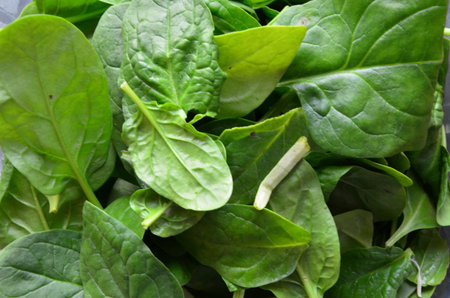 Fresh spinach leaves in a bowl, close up. Healthy food concept.
