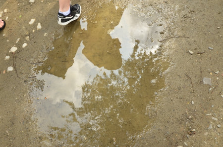 Feet of a woman walking in puddle, closeup of photoの写真素材
