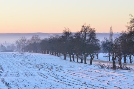 Winter landscape with trees in the foreground and a farm in the backgroundの写真素材