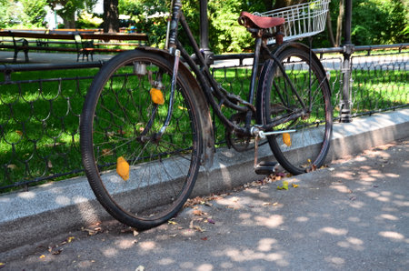 Bicycles in the city park on a sunny summer day.の写真素材