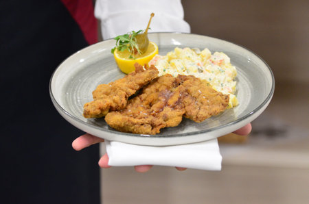 Japanese cuisine, deep-fried pork cutlet served with salad