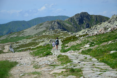 mountain landscape under the blue sky in Low Tatras Mountain landscape with rocks, trees and blue...