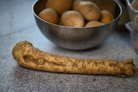 Fresh horseradish root in metal bowl and raw potatoes on gray backgroundの写真素材