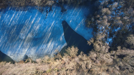 Aerial view of a lake in the middle of a forest.の写真素材