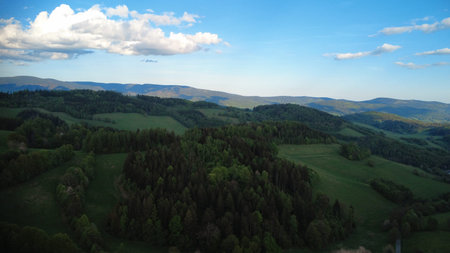 Aerial view of a green meadow and forest in the mountains