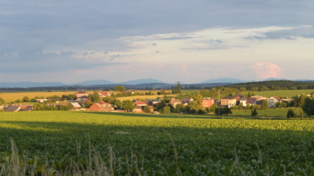 Panoramic view of the village in the middle of the fieldsの写真素材