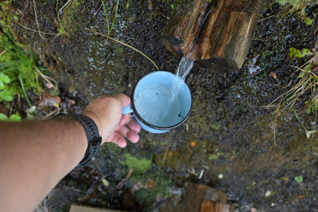 A person's hand holds a mug with water in the forestの写真素材