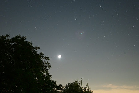 Night sky with stars and the moon over the trees in the foreground