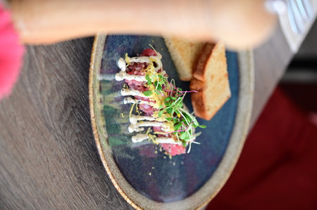 Beef tartare with green sprouts, radish and mayonnaiseの写真素材