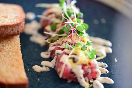 Beef tartare with green sprouts, radish and mayonnaiseの写真素材