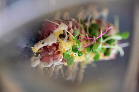 Beef tartare with green sprouts, radish and mayonnaiseの写真素材