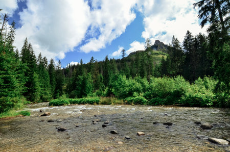 Landscape with mountain river in the Tatra Mountains, Polandの写真素材