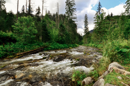 Beautiful mountain river in Mountain the summer, Tatra Mountains, Poland