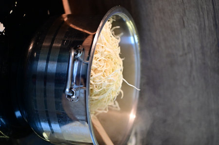 cabbagein a fast food machine, closeup of photoの写真素材