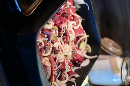 Traditional Czech dish of roasted wild boar with sauerkraut and dumplings, served on a plate in a cozy home-style setting.の写真素材