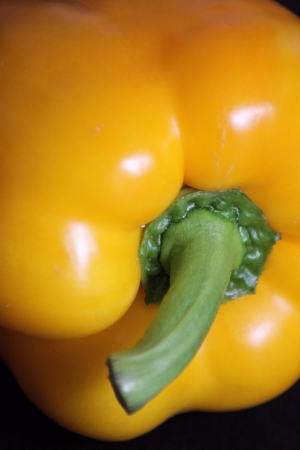 Pepperの写真素材