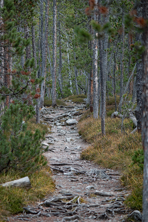 Trailの写真素材
