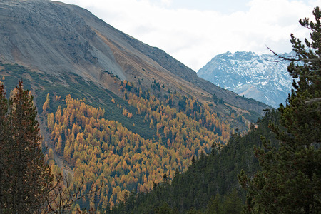 Swiss National Parkの写真素材