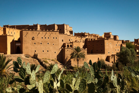 Cactuses, palm trees and Taourirt Kasbah in Ouarzazate, Morocco