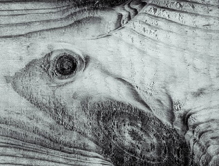 wooden background, naturalの写真素材