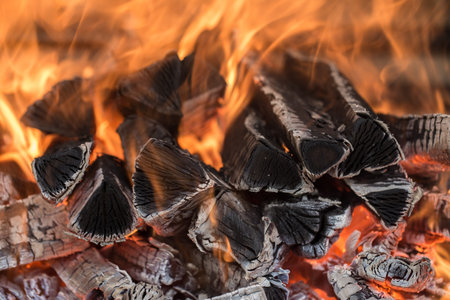 the fire on the wood, charred wood, ash