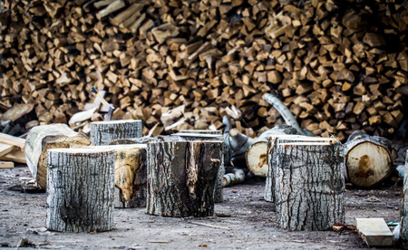 a very large pile of firewood, stacked in an old barnの写真素材