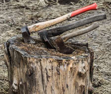 Axe stuck in treeold axe stuck in a stump, on a background of straw, closeupの写真素材