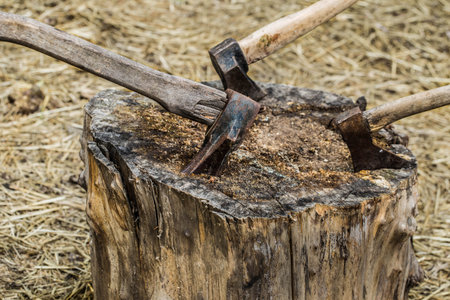 Axe stuck in treeold axe stuck in a stump, on a background of straw, closeup