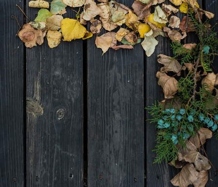 Autumn on a beautiful wooden background. Autumn leaves. Background for design. Front view with copy space.の写真素材