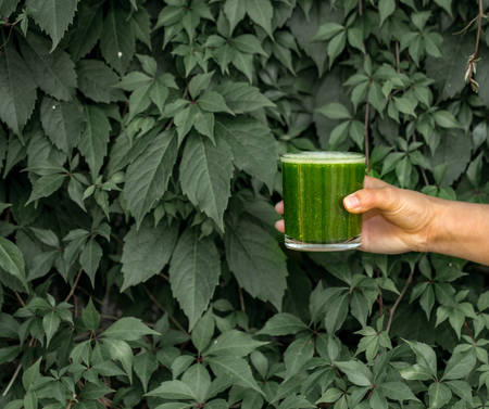 green smoothie in a glass on a background of green leaves in the girl's handの写真素材