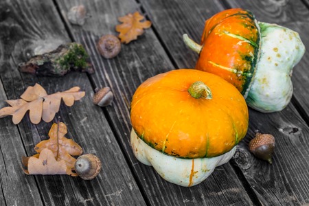 small pumpkin on wooden background, autumn, scattered leaves and acornsの写真素材