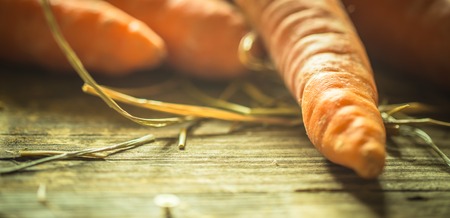 Fresh organic carrots, a bunch of carrots lying on wooden boardsの写真素材