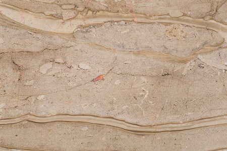 natural beautiful marble in dark and warm colors, marble background texture, closeup, marble set...