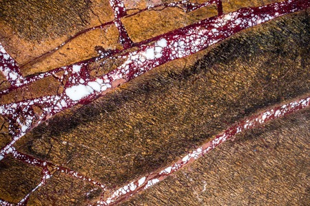 natural beautiful marble in contrasting colors warm, saturated shades, marble background texture, closeup, marble set with thirty three photosの写真素材