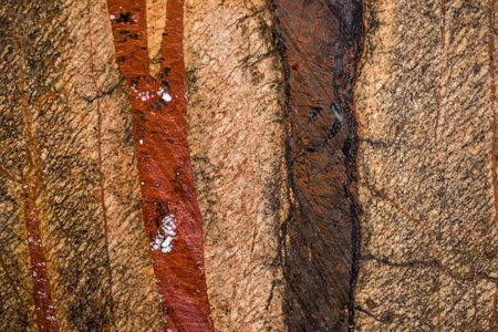 natural beautiful marble in contrasting colors warm, saturated shades, marble background texture, closeup, marble set with thirty three photosの写真素材