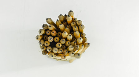 pencils beautifully folded isolated on white backgroundの写真素材