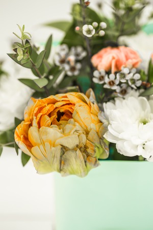 live spring flowers close up yellow tulips on a white background still life, compositionの写真素材