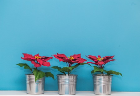 beautiful Christmas vases in a metal pot on a blue backgroundの写真素材