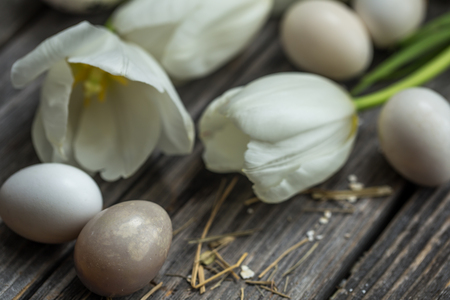 Easter eggs and white tulips on wooden background , holiday conceptの写真素材