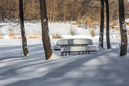 winter wooden bench in a snowy forest, the concept of winterの写真素材