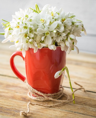 Beautiful delicate snowdrops in a red Cup with a thread on a wooden background concept of spring and flowersの写真素材